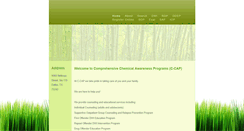 Desktop Screenshot of ccapcounseling.com
